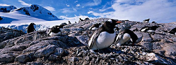 农业模拟《鲁玛岛》上架Steam 年内发售